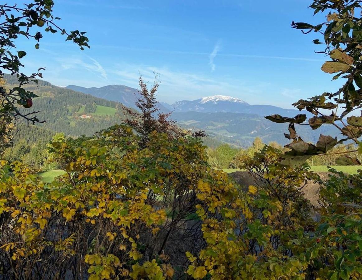 Familiengasthof Pension Oedenhof Санкт-Корона-ам-Вексель Экстерьер фото